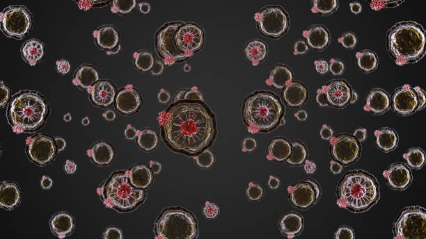 pio coronavirus - coronavirus 1 er cas en france